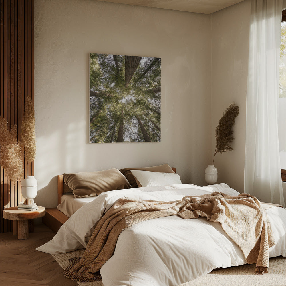 Beauty of Nature | Canvas