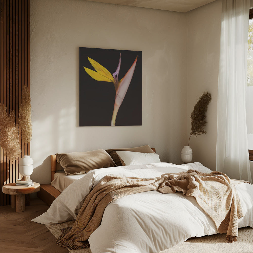 Exotic Blossom Glow | Canvas