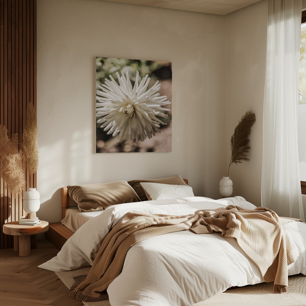 White Blossom Glow | Canvas