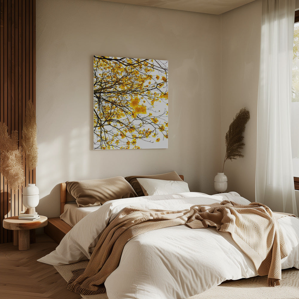 Golden Canopy Burst | Canvas