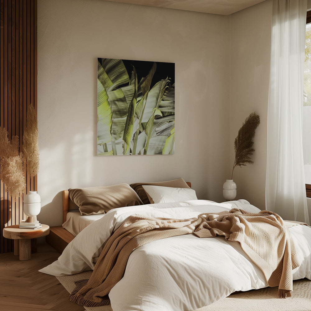 Banana Leaves In Soft Lighting | Canvas