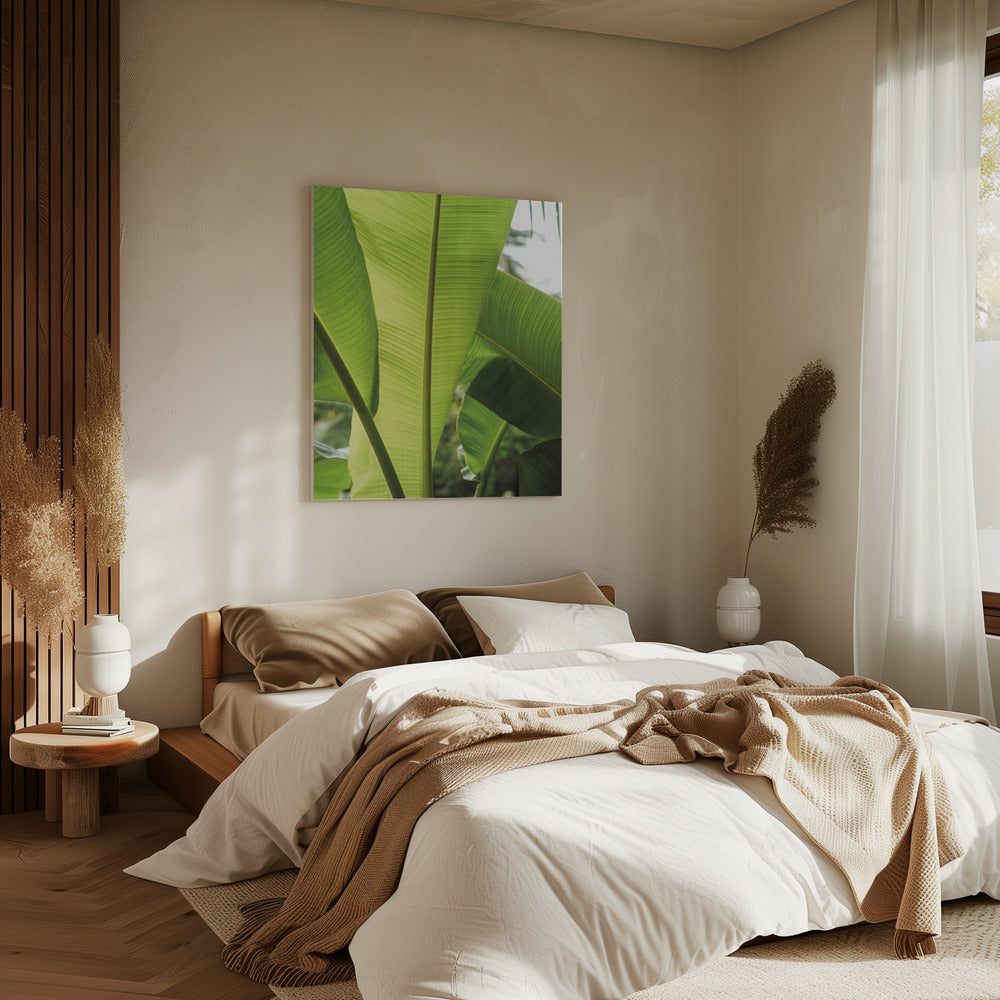 Tropical Banana Leaves | Canvas