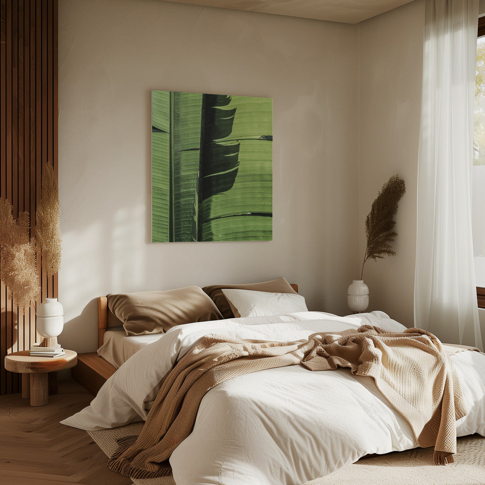 Tropical Banana Leaves | Canvas