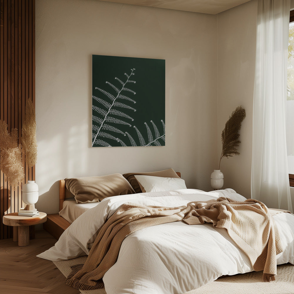 Fern&#039;s Gentle Curve | Canvas