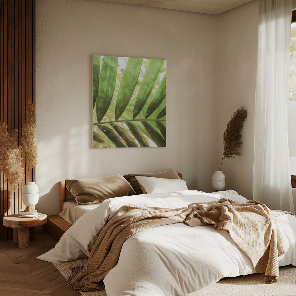 Beauty Of Palm Leaves | Canvas