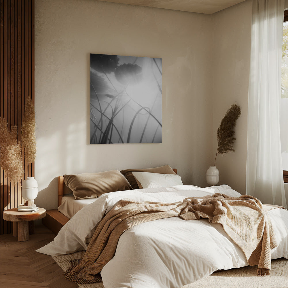 Water Lilly | Canvas