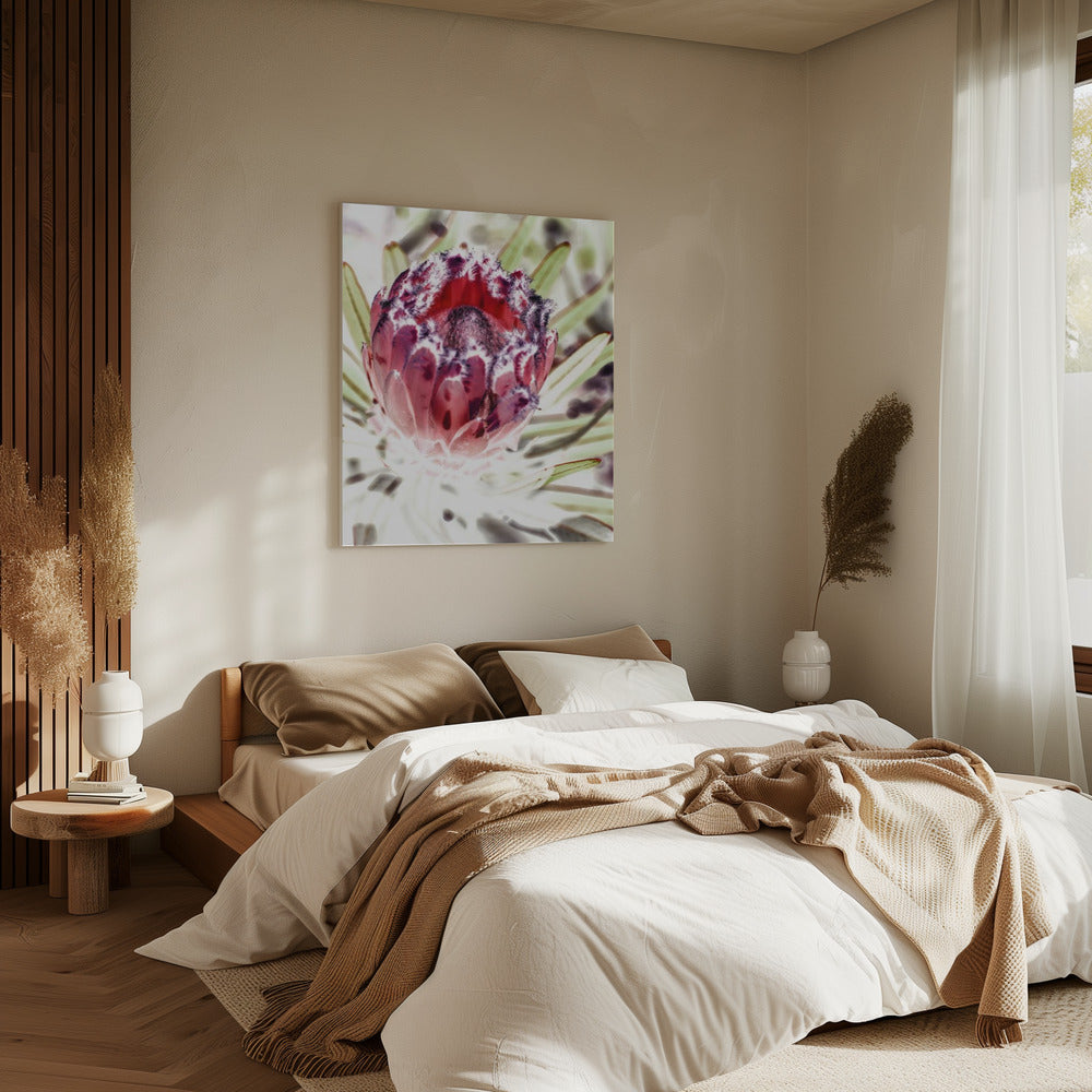 Blooming Protea Flower | Canvas