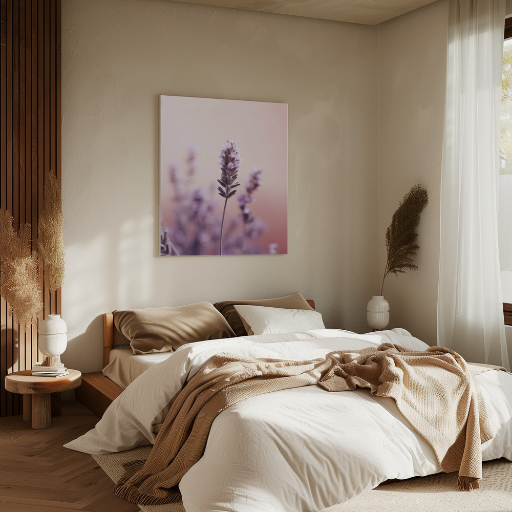 Lavender Serenity | Canvas