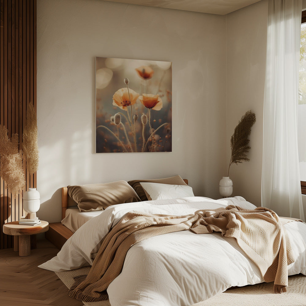 Whispers of Poppies | Canvas