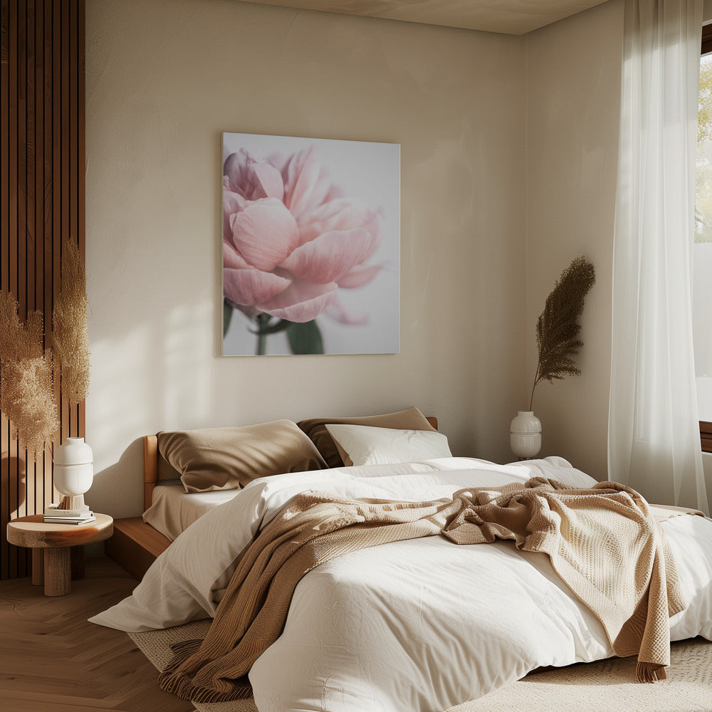 Peony 3 | Canvas