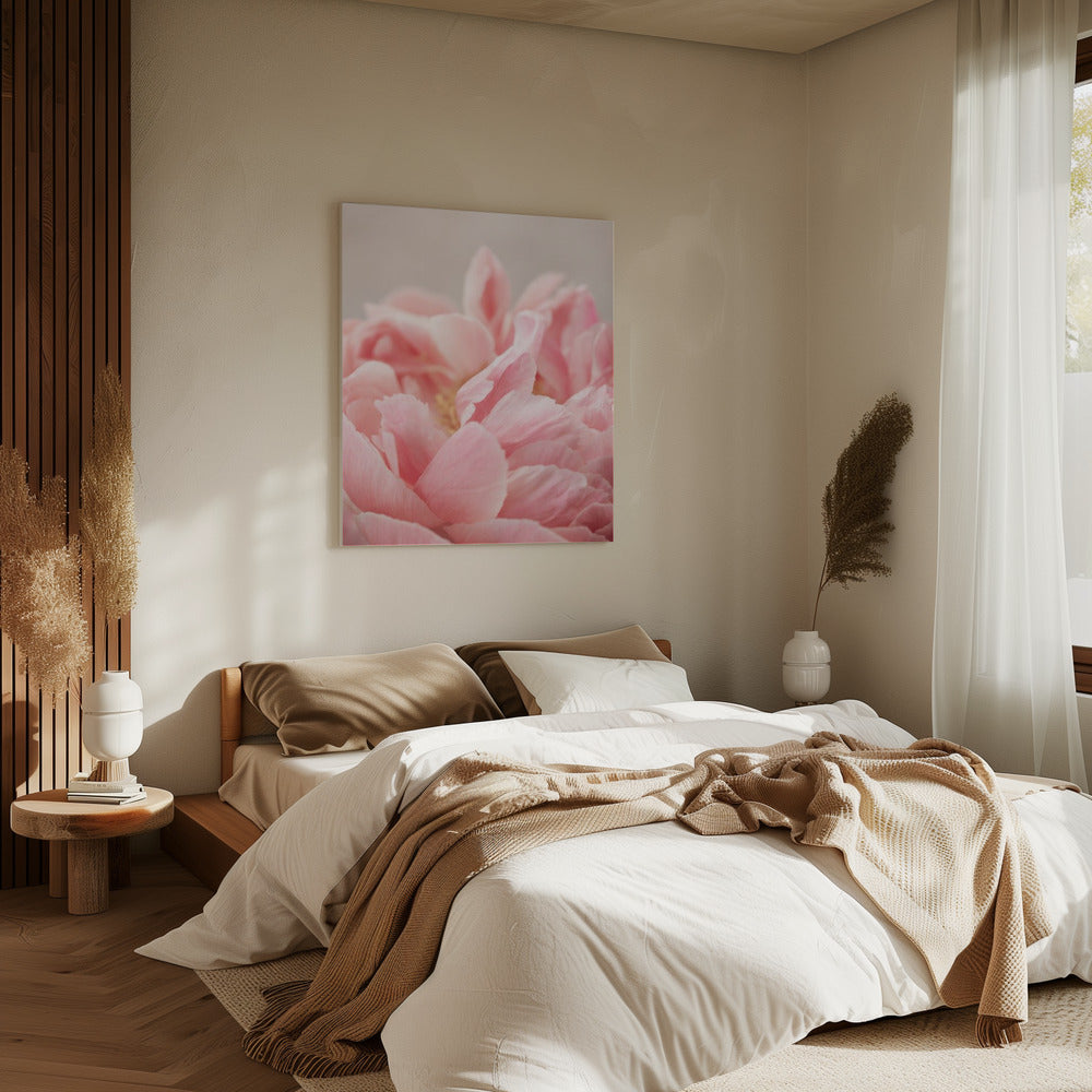 Peony 4 | Canvas