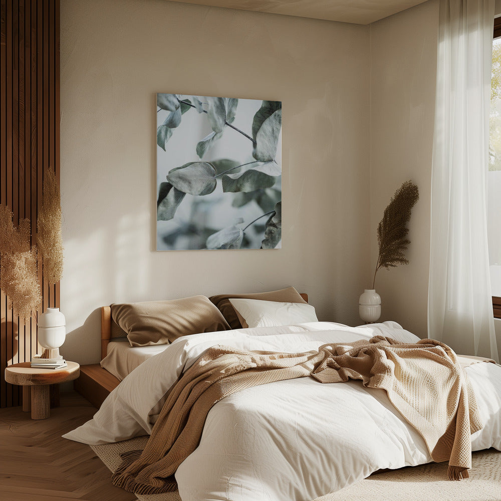 Eucalyptus 8 | Canvas
