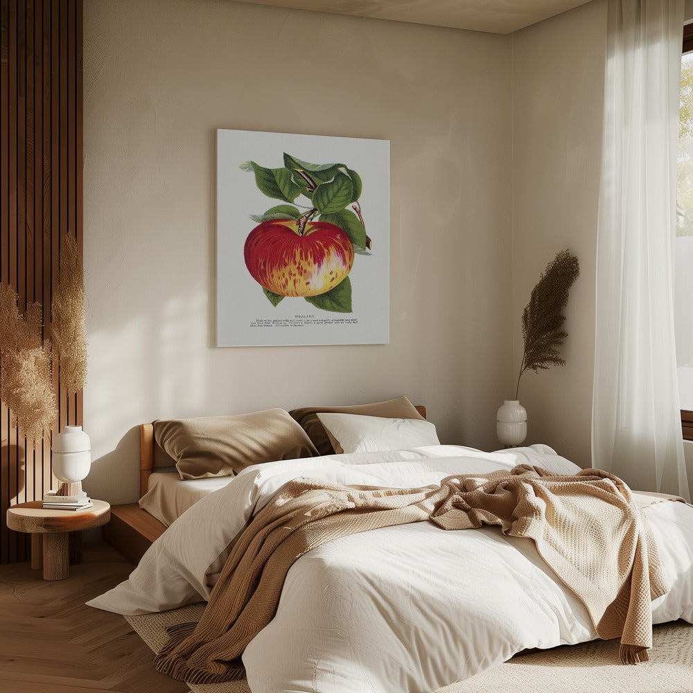 Wealthy Apple Lithograph | Canvas