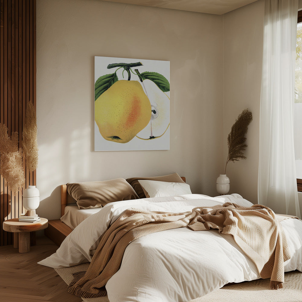 Kiefer's Hybrid Pear Lithograph | Canvas