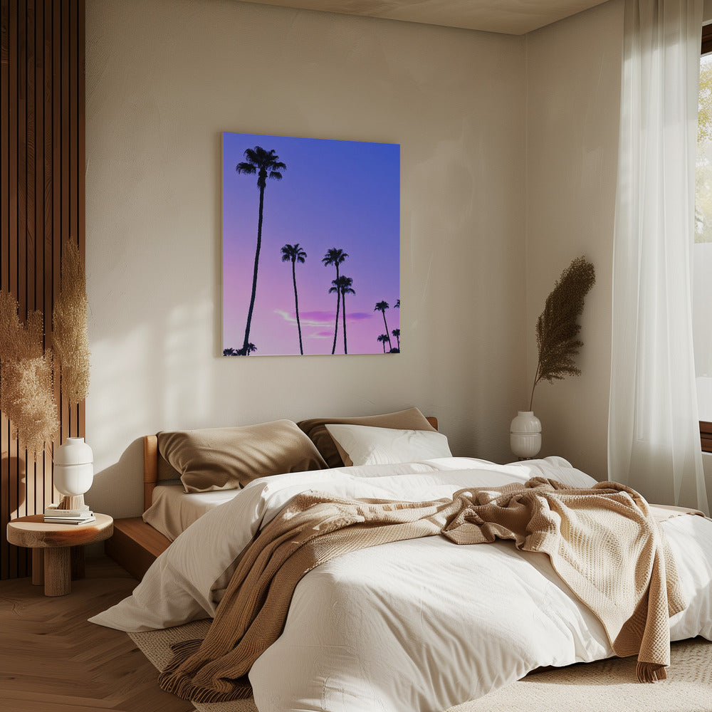 Palm Tree Sunset | Canvas