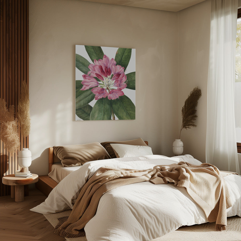 Mountain Rose Bay (1932) | Canvas