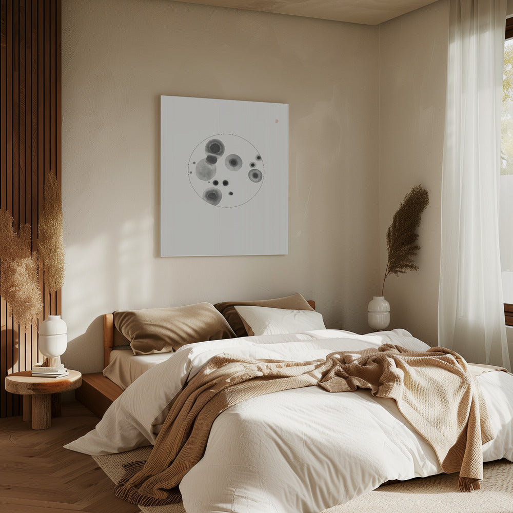 Petri Dish | Canvas