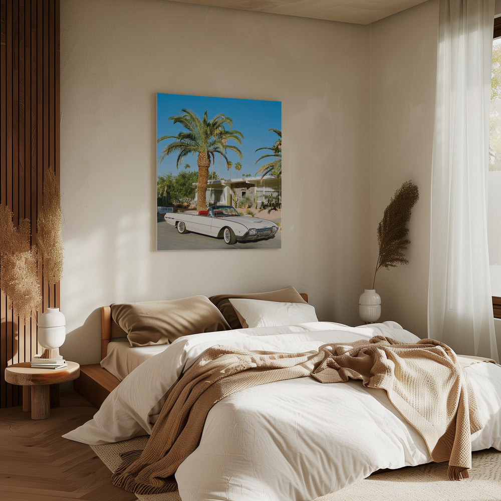 Palm Springs Thunderbird | Canvas