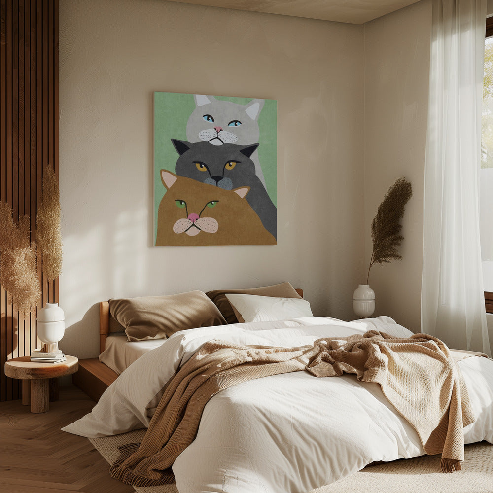 Cat Trio | Canvas