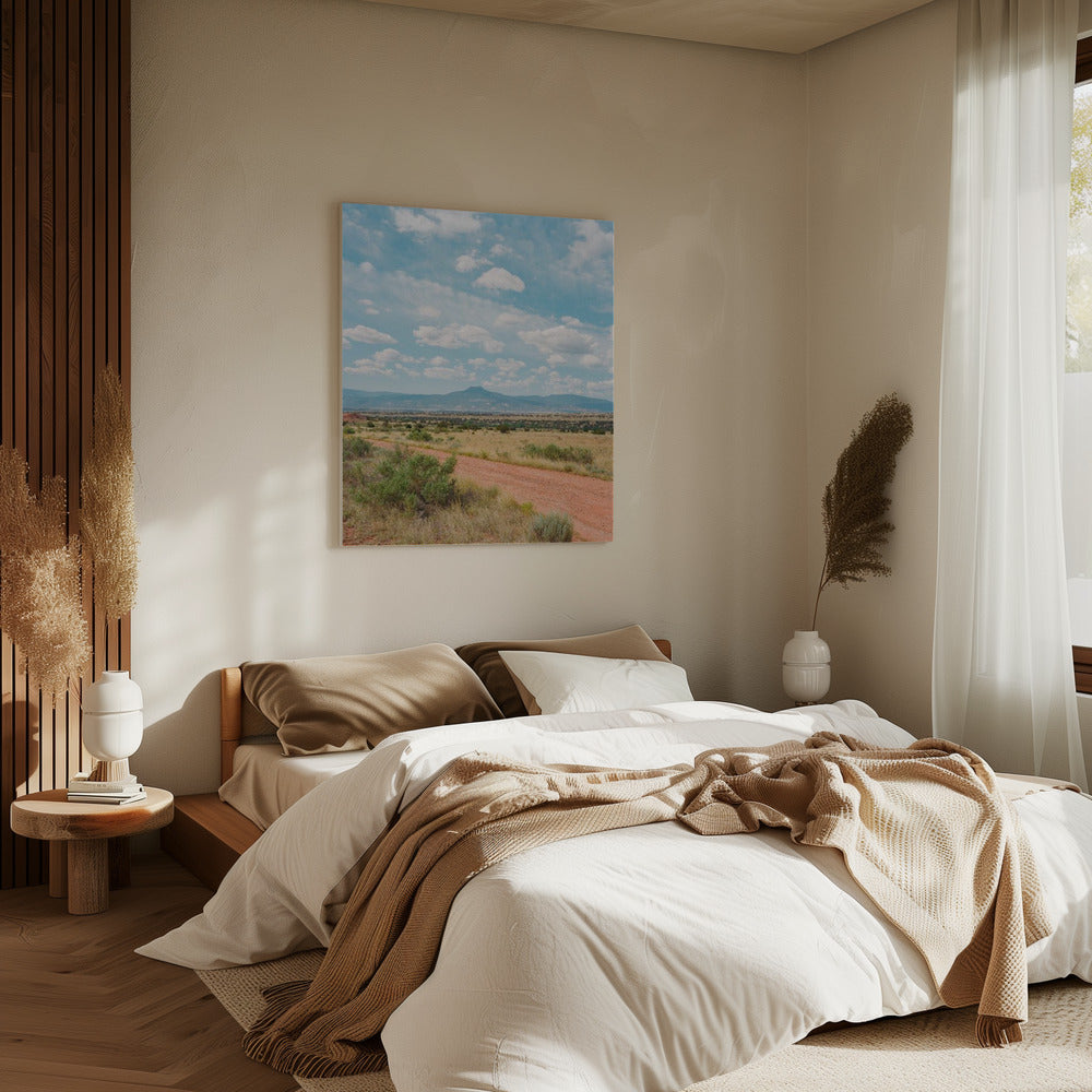 Ghost Ranch II | Canvas