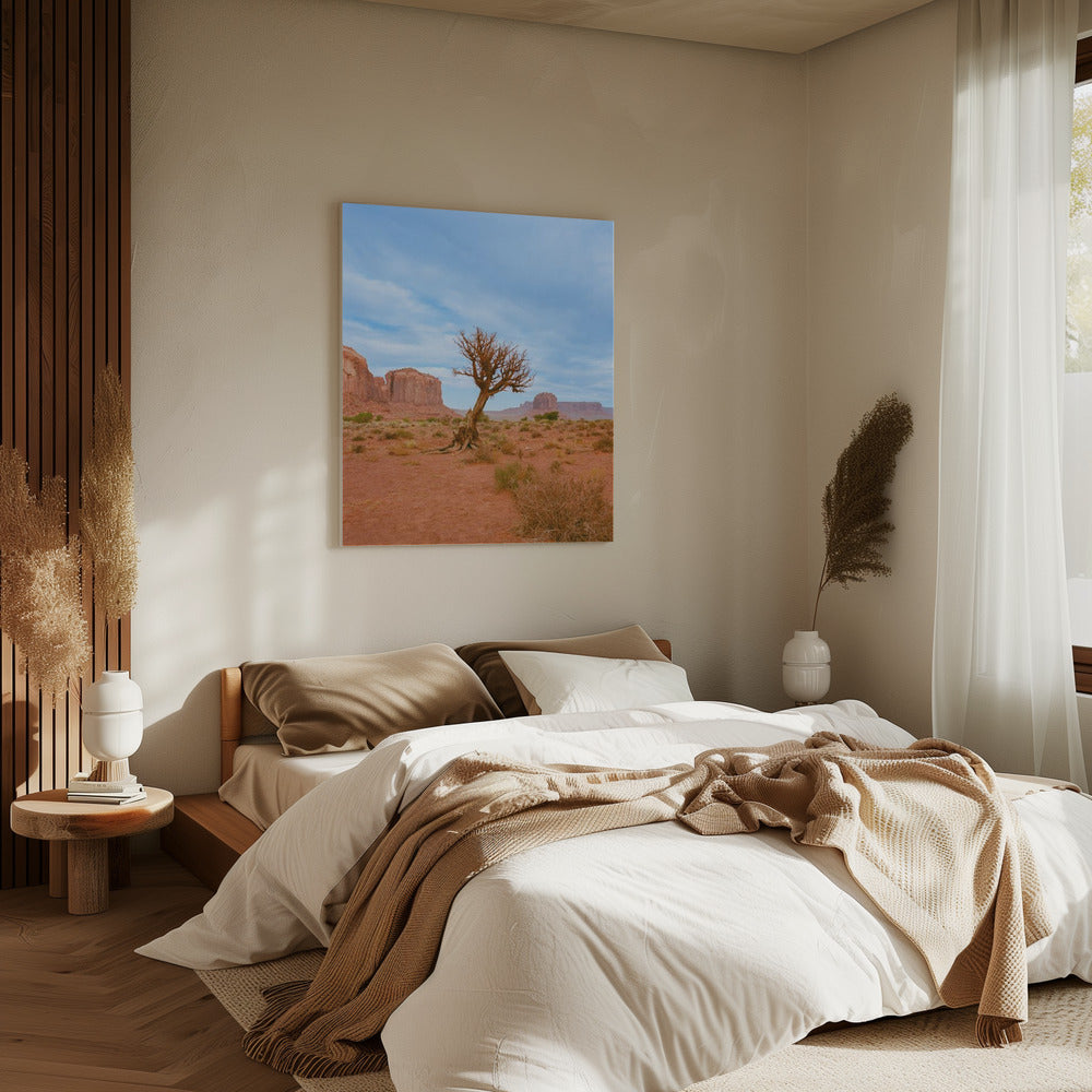 Monument Valley XI | Canvas