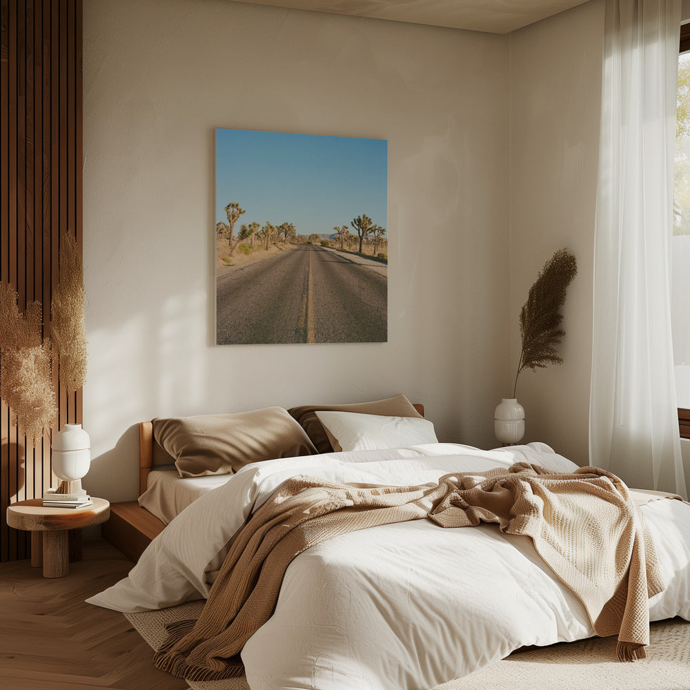 Joshua Tree Road II | Canvas