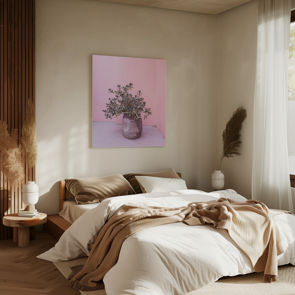 Spanish Rustic Succulent | Canvas