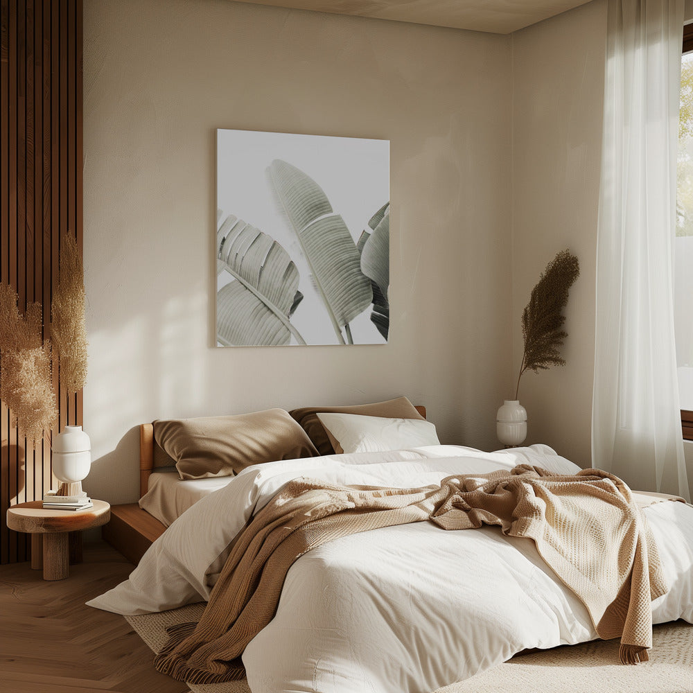 Banana leaf 1 | Canvas