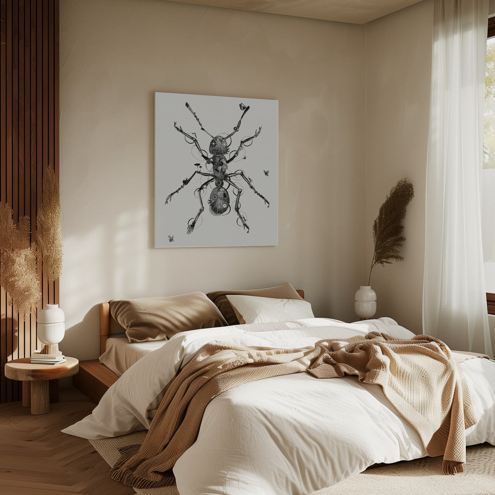 Ant | Canvas