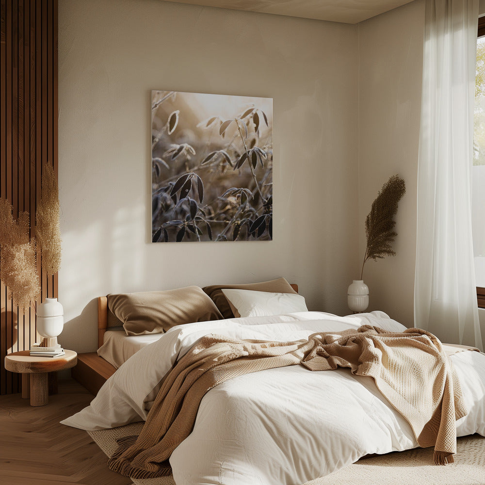 A Winter Morning 6 | Canvas