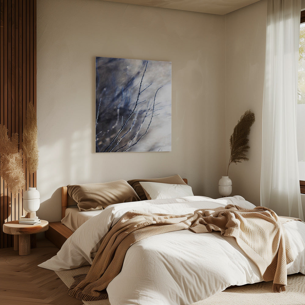 A Winter Morning 7 018a4832 | Canvas