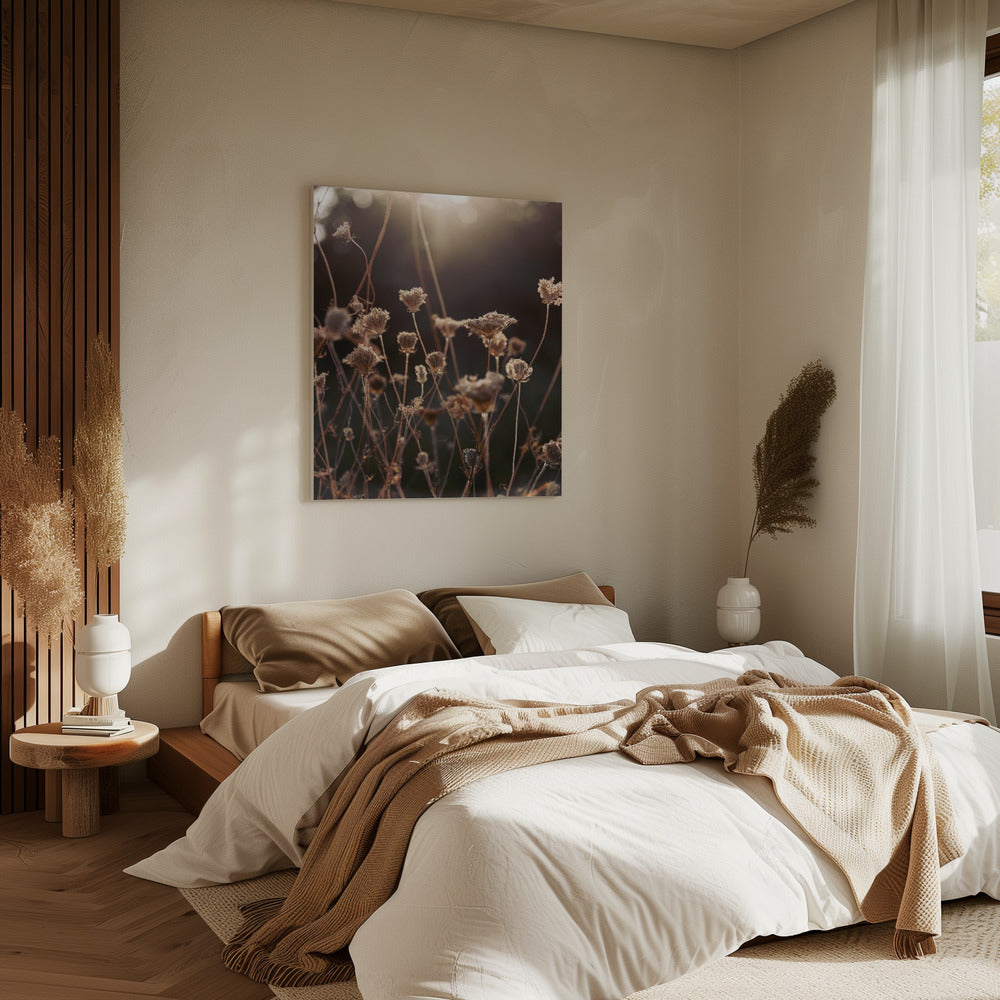 Warm Winter Light 2 | Canvas