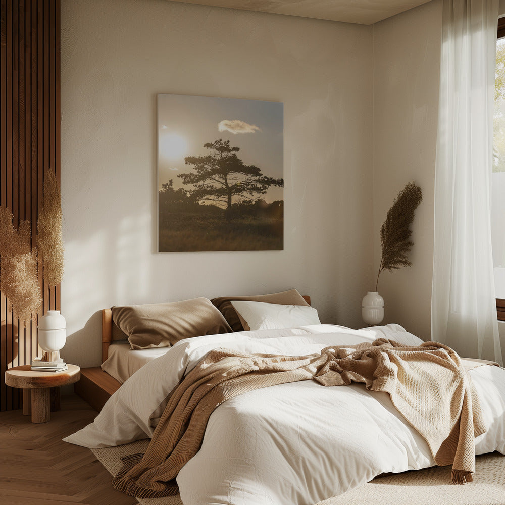 Tree In the Dunes 1 | Canvas