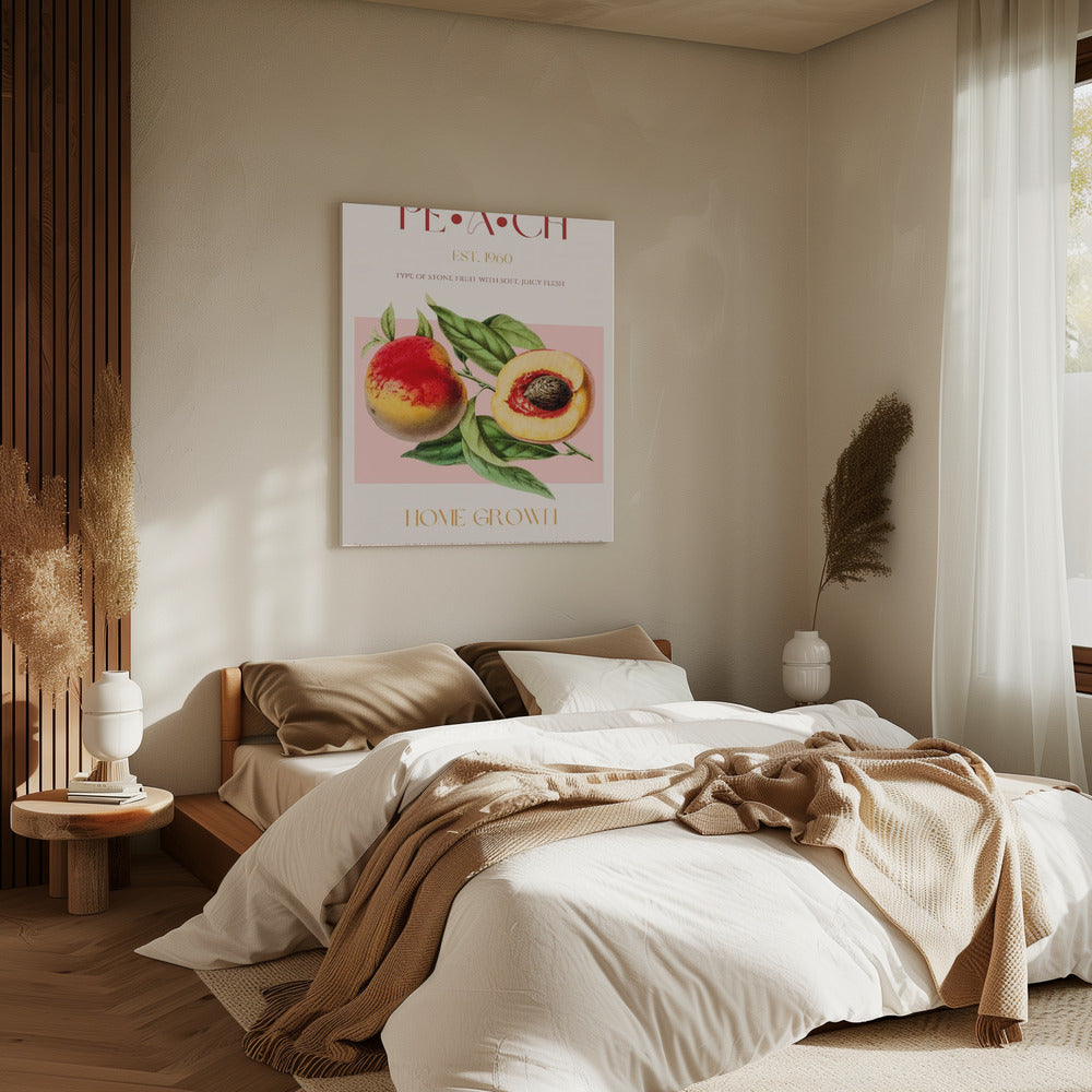 Vintage Style Peach Illustration | Canvas