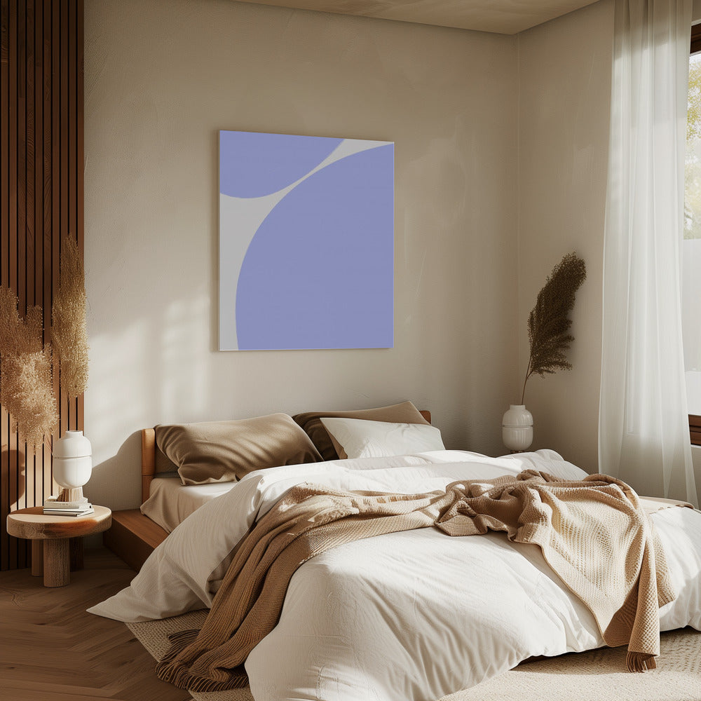 Purity of Curves | Canvas