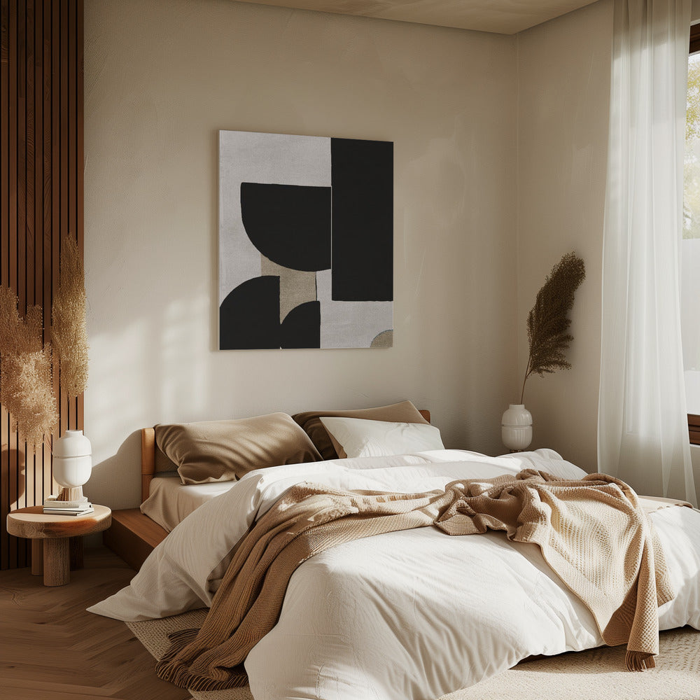 Shadow Play Forms | Canvas