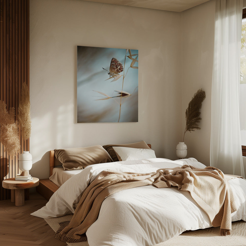 Dream in blue | Canvas