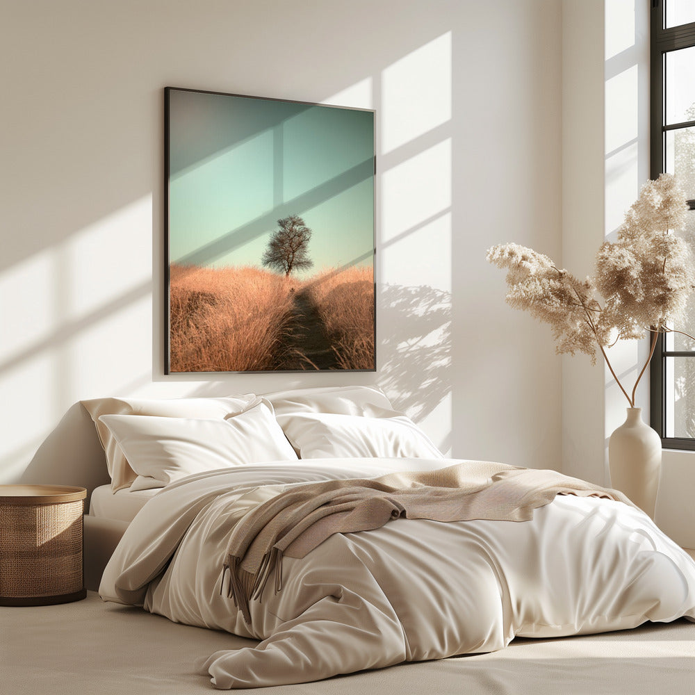 Grass and Path | Poster