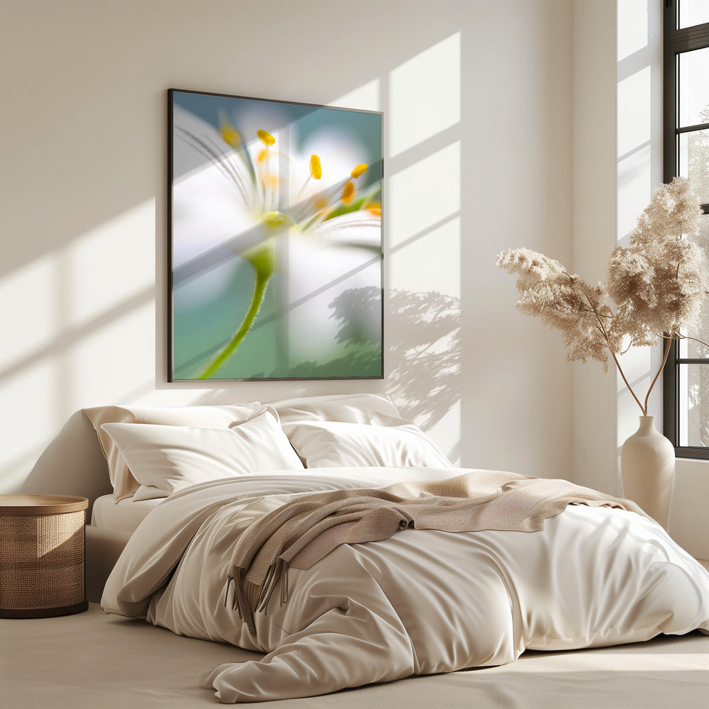 Stitchwort surprise | Poster