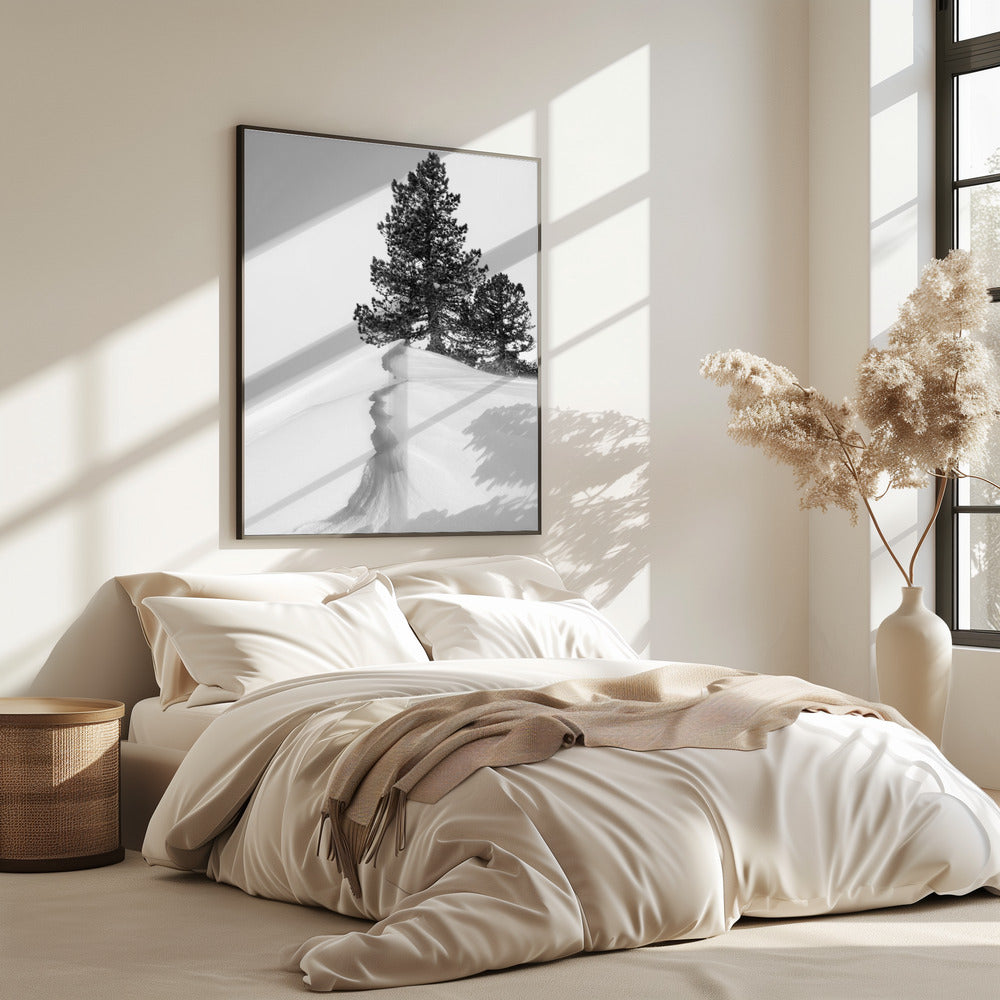 About the snow and forms | Poster