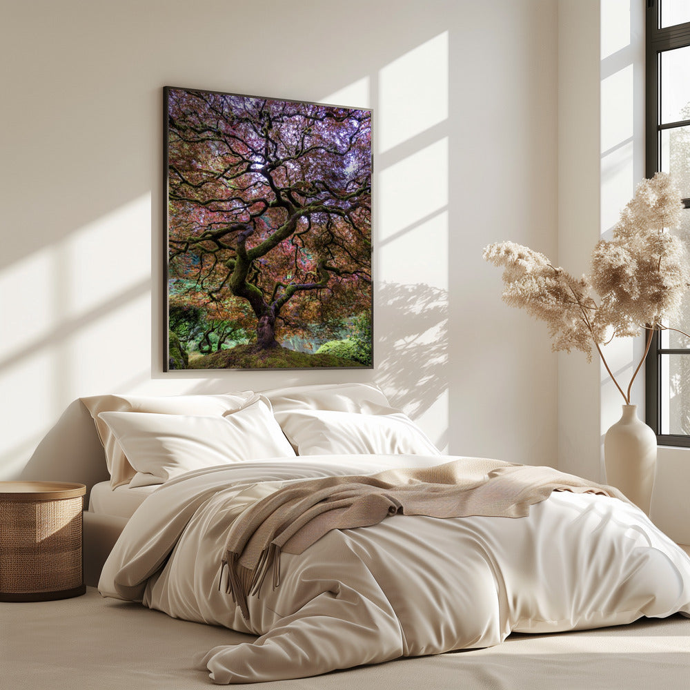 Japanese Maple Tree | Poster