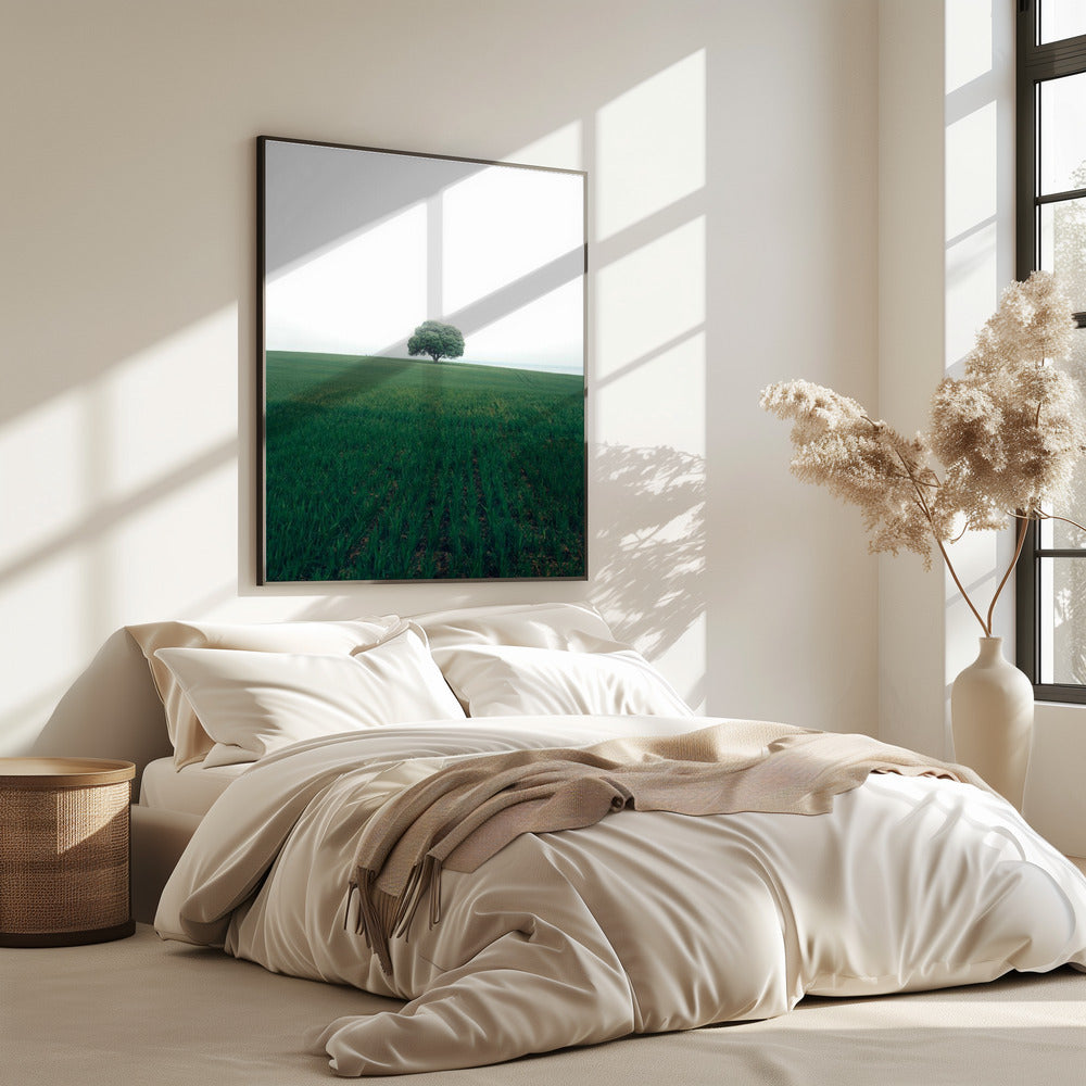 The lonely oak tree | Poster