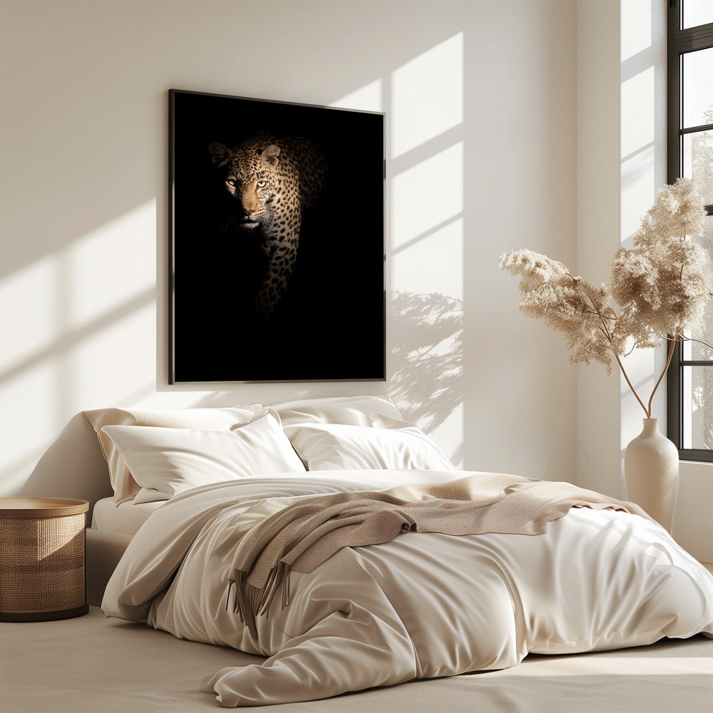 Out of the darkness | Poster