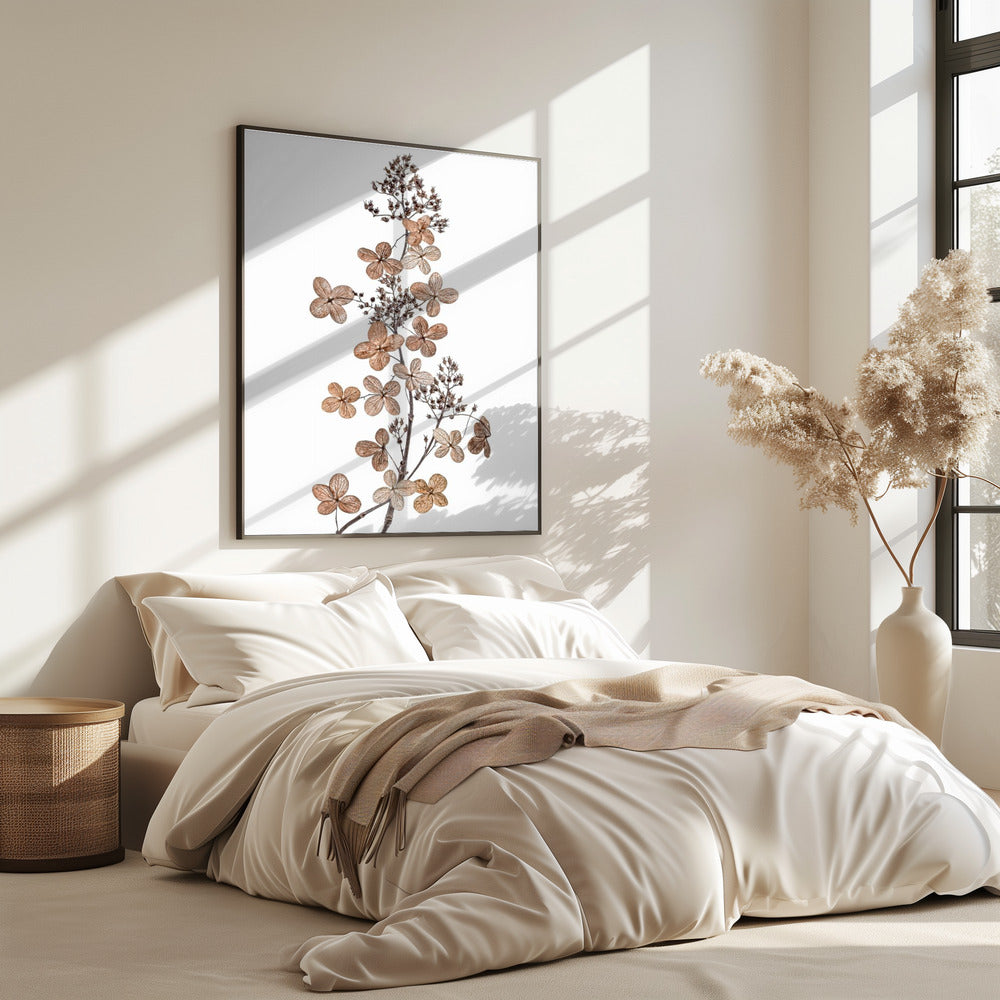 Hydrangea Paniculata | Poster
