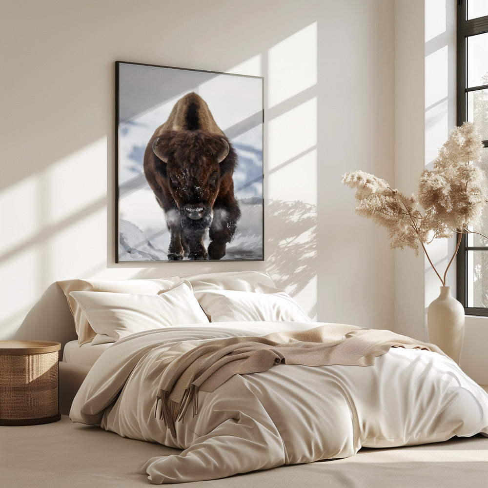 Bison Incoming | Poster