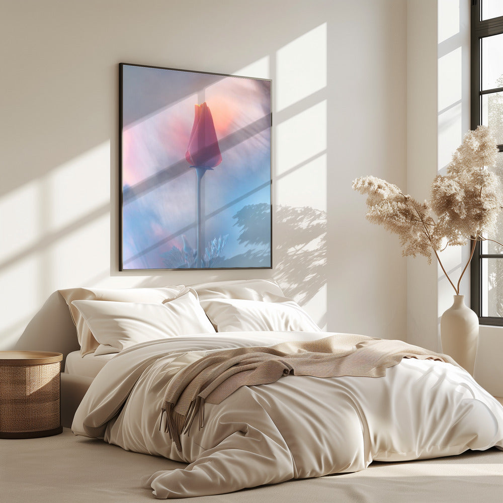 Douceur &amp; Volupté | Poster