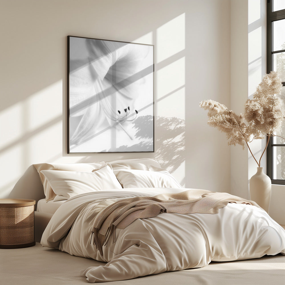 White on White | Poster