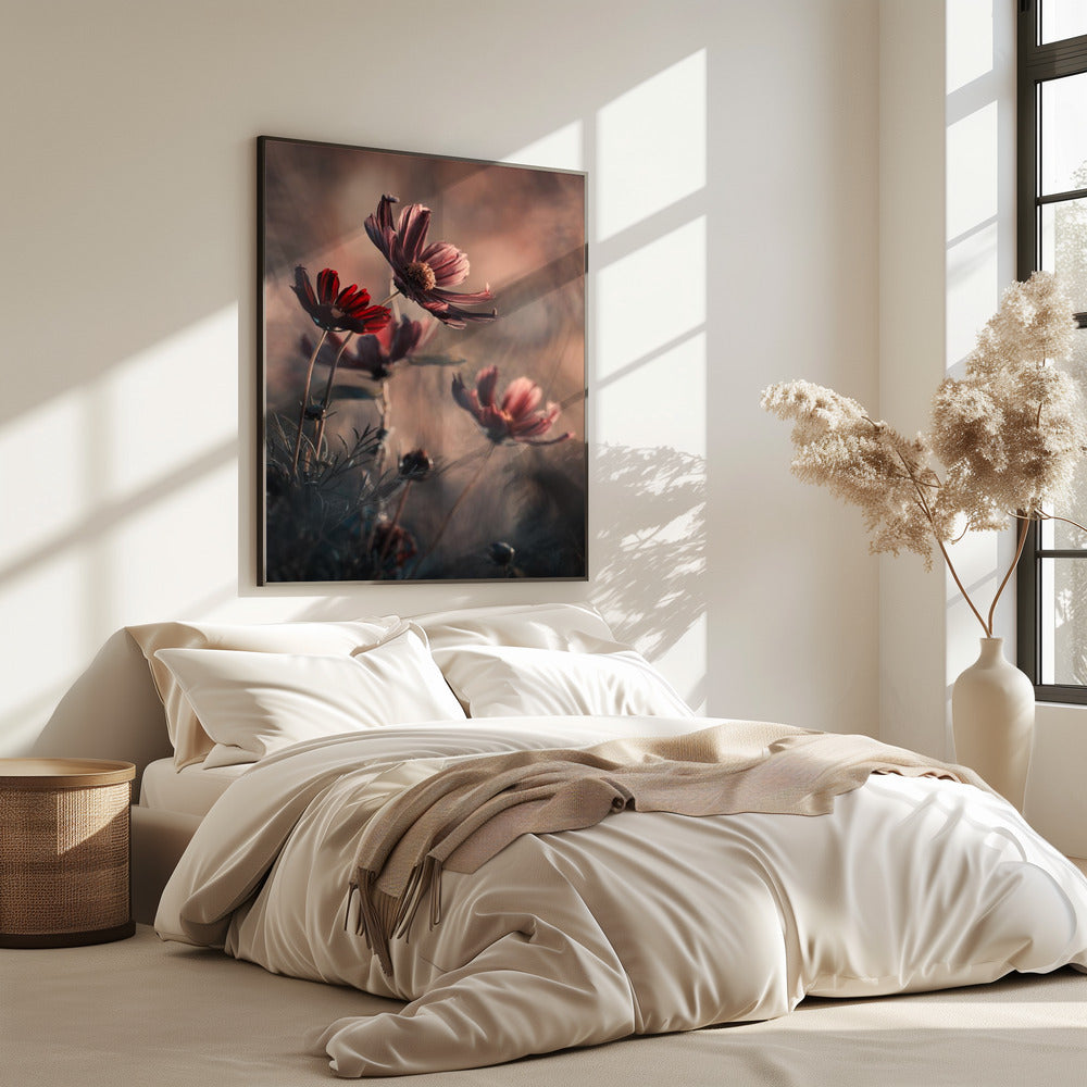 The Funky Family | Poster