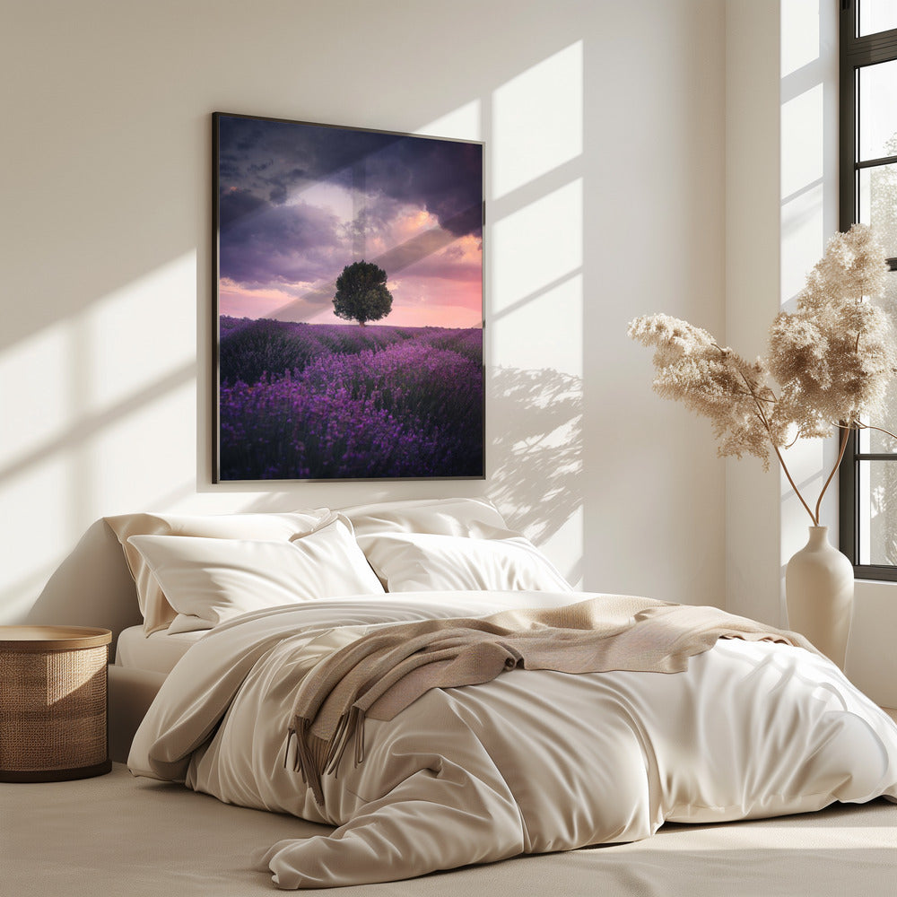 Lavender Fields, Isparta | Poster