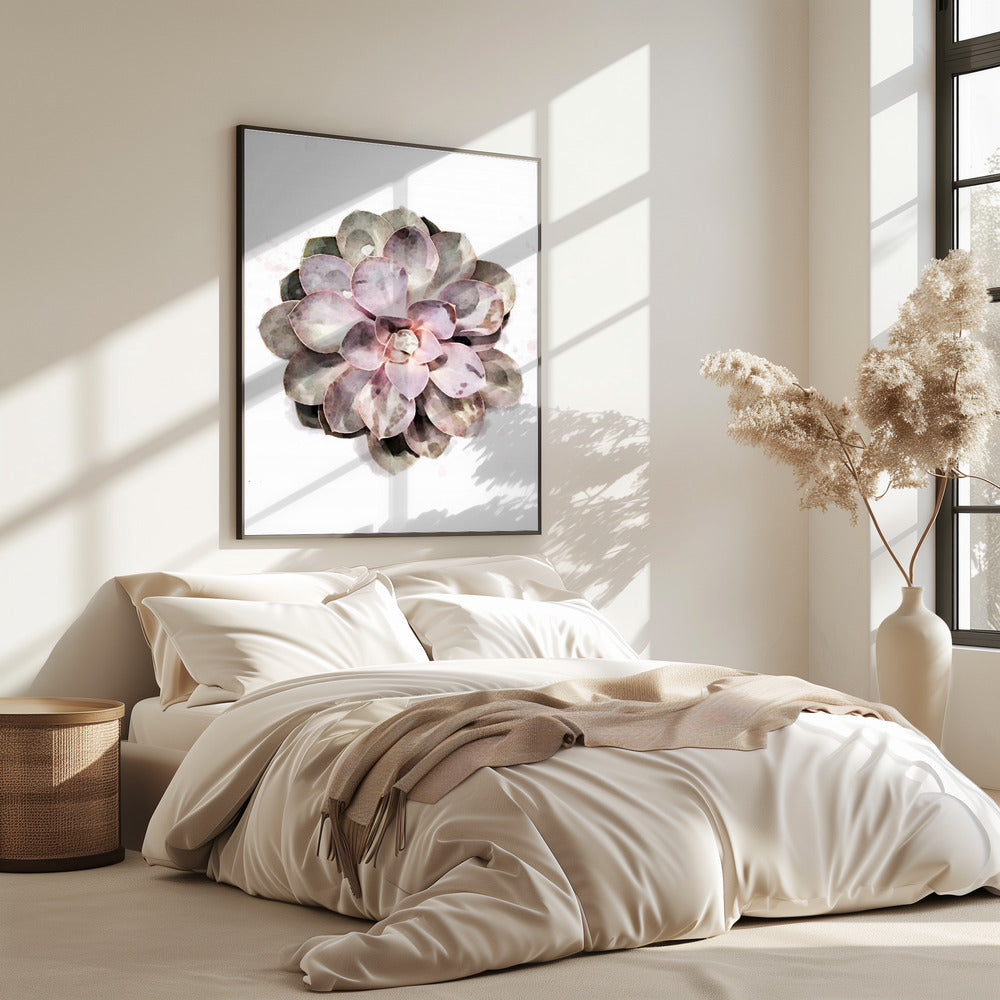 Succulent 01 | Poster